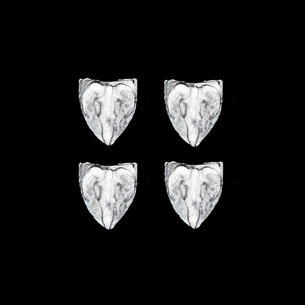 Animal Skull Shields (4)
